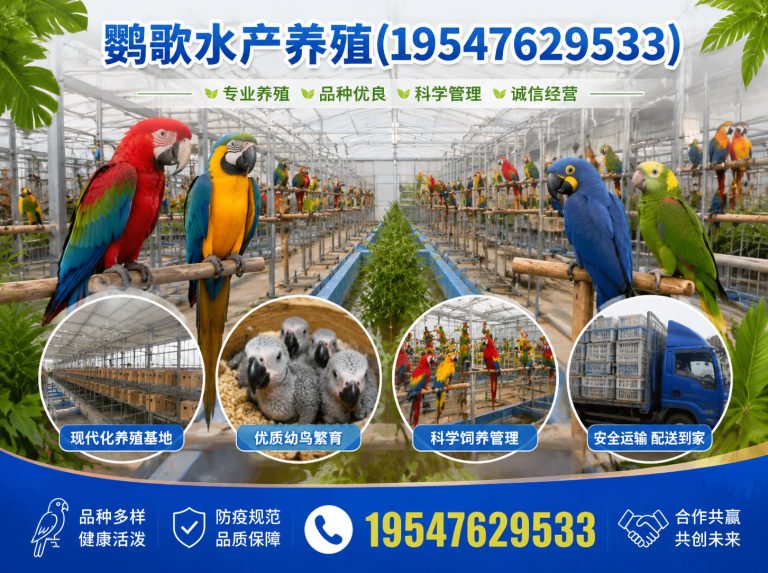 大邑县西南鹦鹉品牌展示图